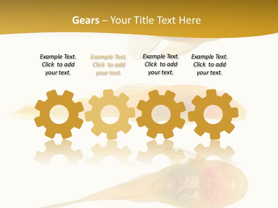 Bushy Nose - Goldspot Ancistrus Albino In Front Of A White Background PowerPoint Template