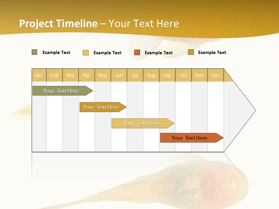 Bushy Nose - Goldspot Ancistrus Albino In Front Of A White Background PowerPoint Template