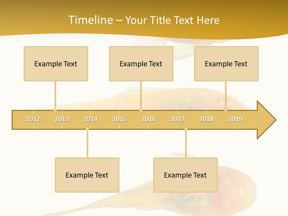 Bushy Nose - Goldspot Ancistrus Albino In Front Of A White Background PowerPoint Template