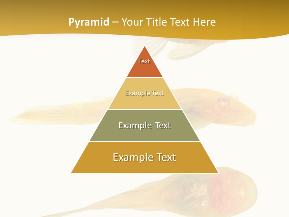 Bushy Nose - Goldspot Ancistrus Albino In Front Of A White Background PowerPoint Template