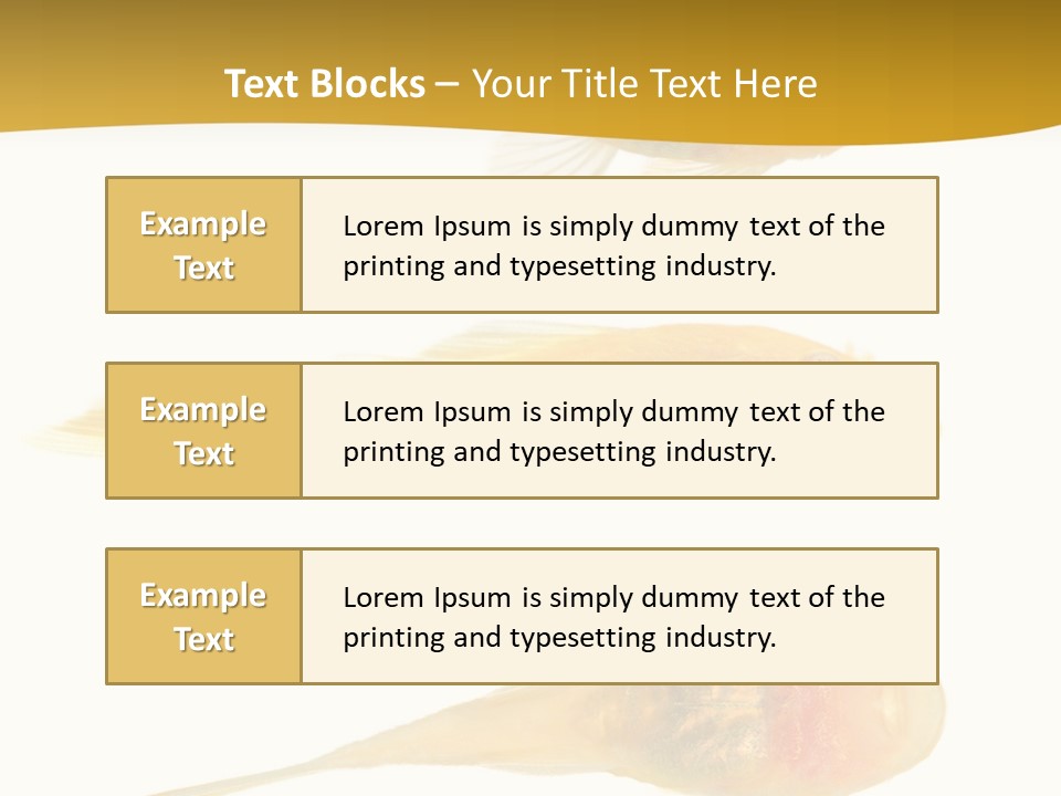Bushy Nose - Goldspot Ancistrus Albino In Front Of A White Background PowerPoint Template