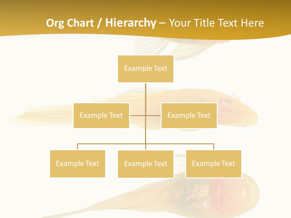 Bushy Nose - Goldspot Ancistrus Albino In Front Of A White Background PowerPoint Template