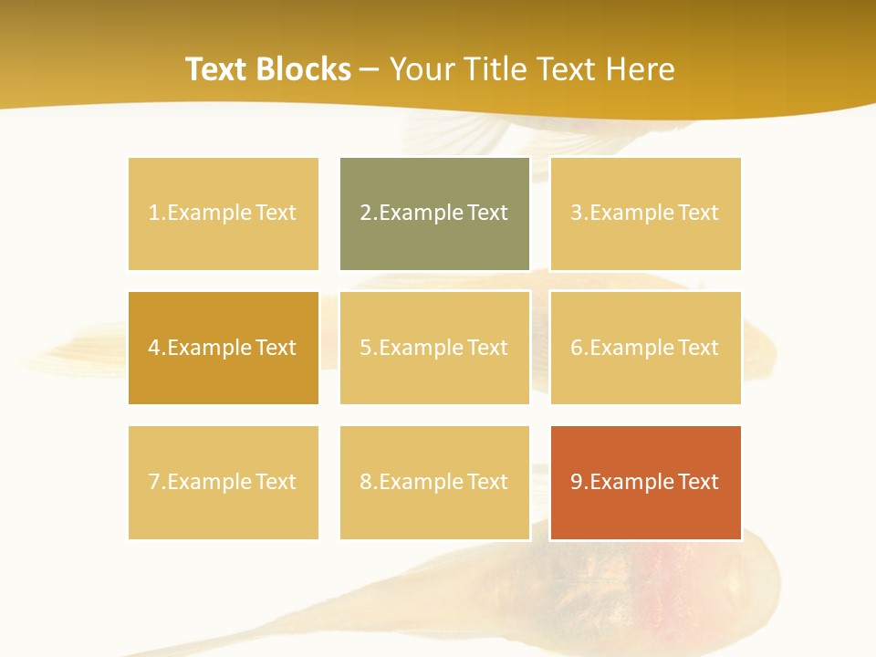 Bushy Nose - Goldspot Ancistrus Albino In Front Of A White Background PowerPoint Template