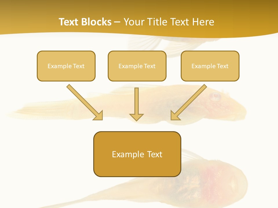 Bushy Nose - Goldspot Ancistrus Albino In Front Of A White Background PowerPoint Template