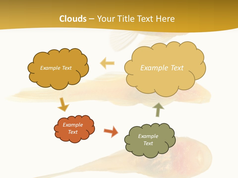 Bushy Nose - Goldspot Ancistrus Albino In Front Of A White Background PowerPoint Template