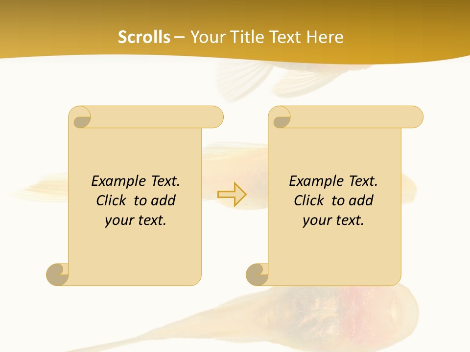 Bushy Nose - Goldspot Ancistrus Albino In Front Of A White Background PowerPoint Template