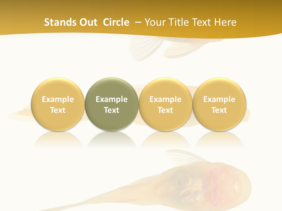 Bushy Nose - Goldspot Ancistrus Albino In Front Of A White Background PowerPoint Template