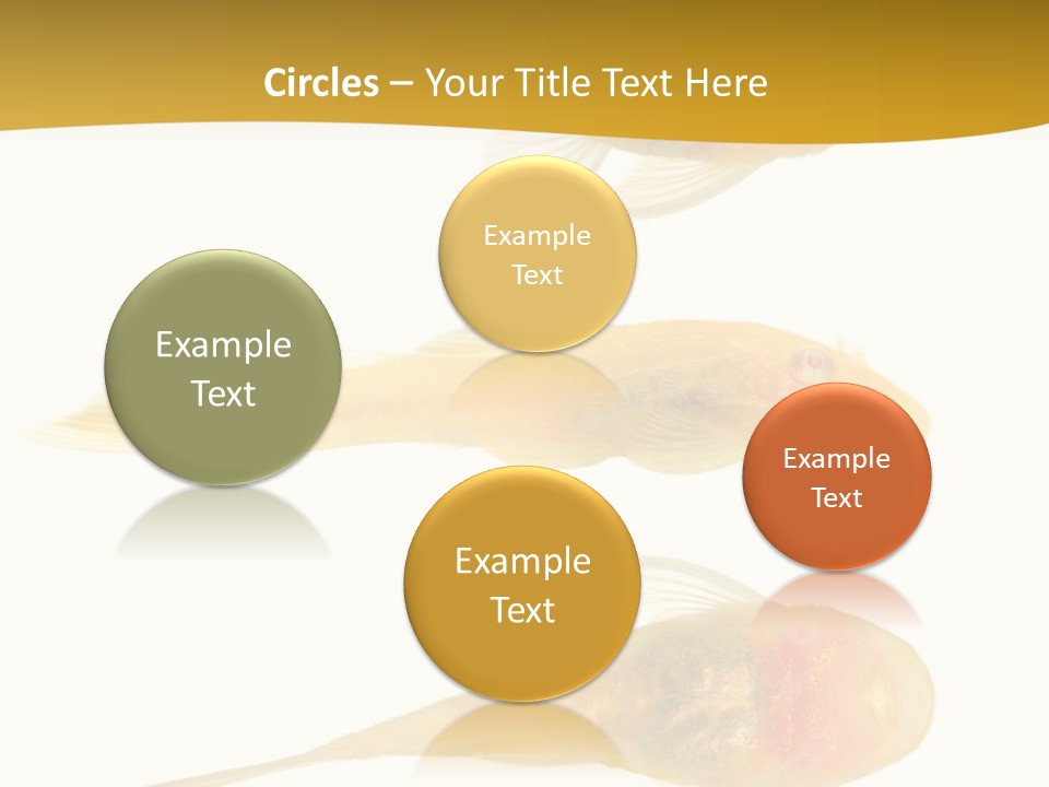 Bushy Nose - Goldspot Ancistrus Albino In Front Of A White Background PowerPoint Template