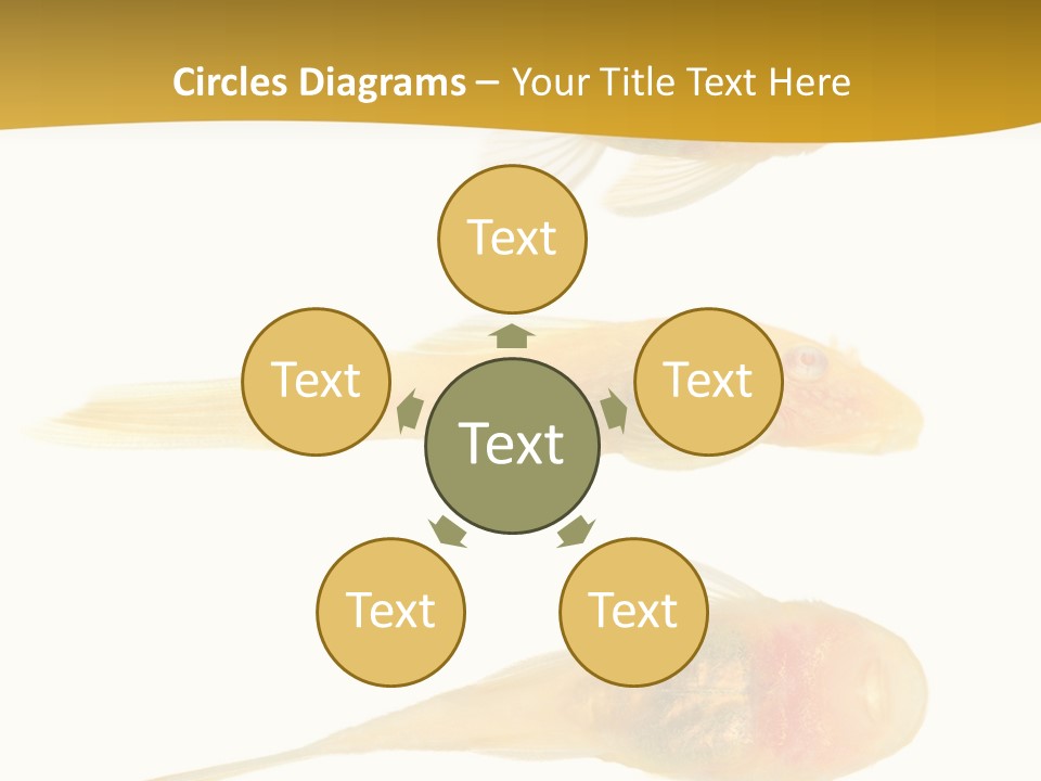 Bushy Nose - Goldspot Ancistrus Albino In Front Of A White Background PowerPoint Template