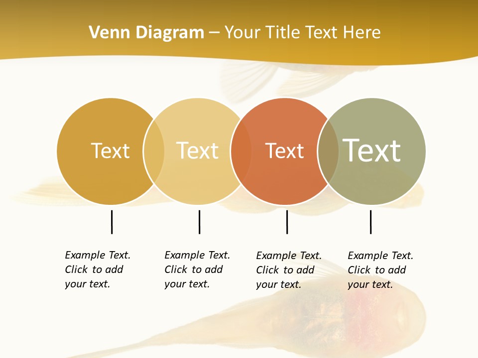 Bushy Nose - Goldspot Ancistrus Albino In Front Of A White Background PowerPoint Template