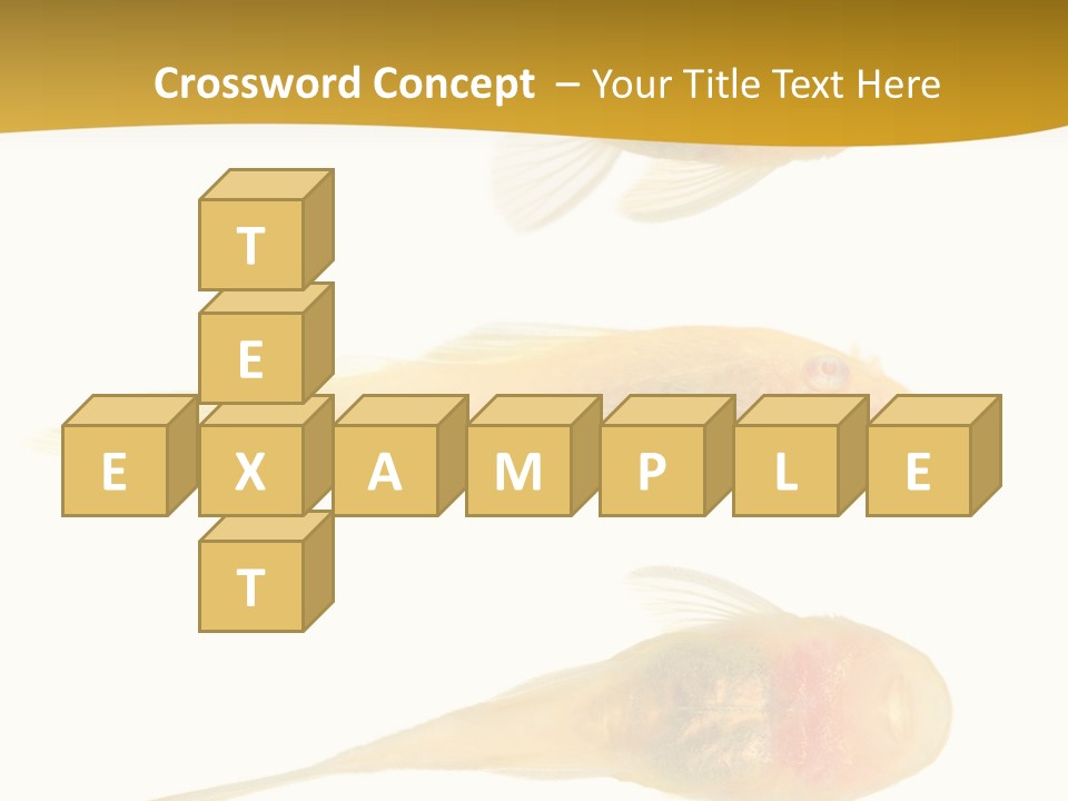 Bushy Nose - Goldspot Ancistrus Albino In Front Of A White Background PowerPoint Template