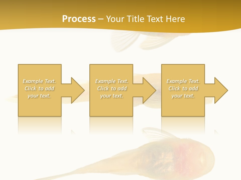 Bushy Nose - Goldspot Ancistrus Albino In Front Of A White Background PowerPoint Template