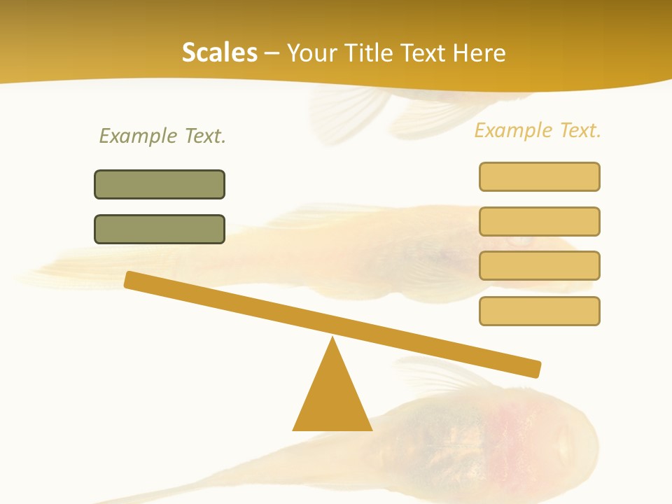 Bushy Nose - Goldspot Ancistrus Albino In Front Of A White Background PowerPoint Template
