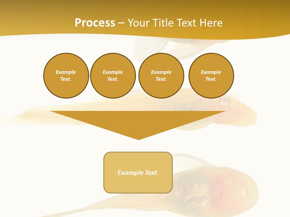 Bushy Nose - Goldspot Ancistrus Albino In Front Of A White Background PowerPoint Template