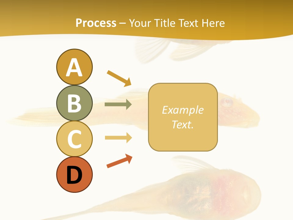 Bushy Nose - Goldspot Ancistrus Albino In Front Of A White Background PowerPoint Template