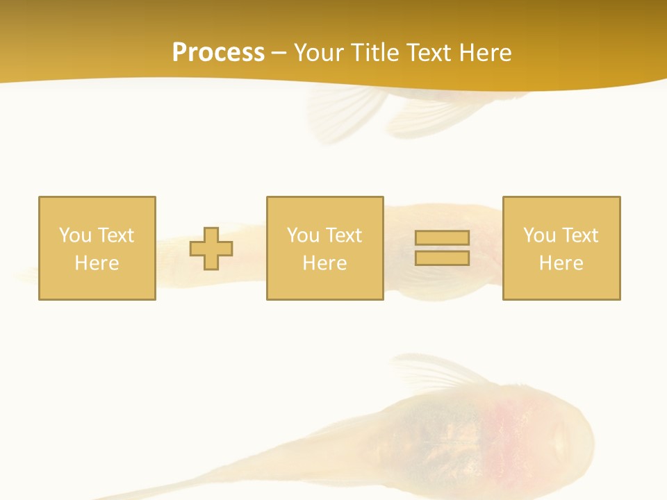 Bushy Nose - Goldspot Ancistrus Albino In Front Of A White Background PowerPoint Template
