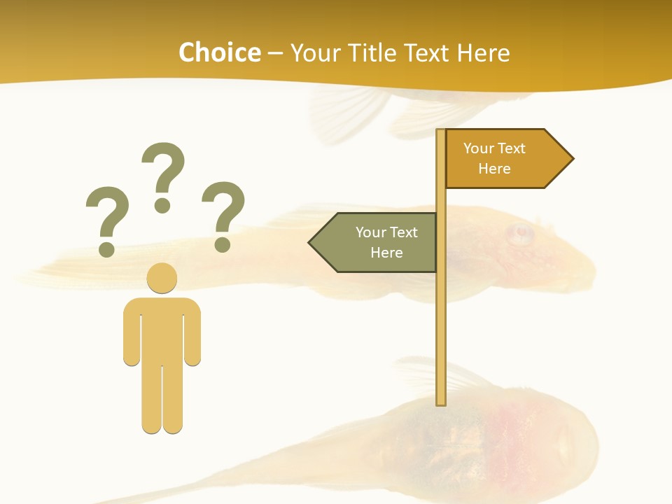 Bushy Nose - Goldspot Ancistrus Albino In Front Of A White Background PowerPoint Template