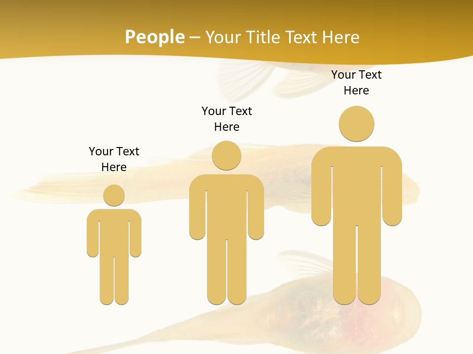 Bushy Nose - Goldspot Ancistrus Albino In Front Of A White Background PowerPoint Template