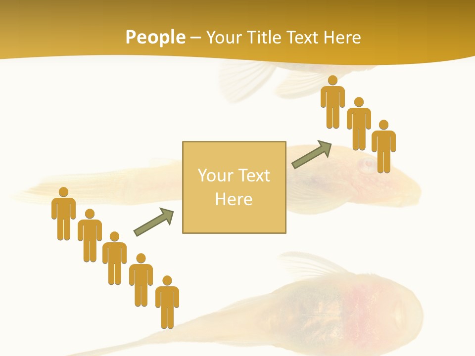 Bushy Nose - Goldspot Ancistrus Albino In Front Of A White Background PowerPoint Template