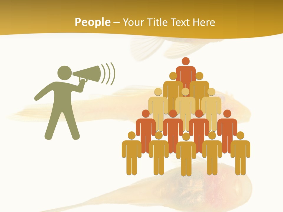 Bushy Nose - Goldspot Ancistrus Albino In Front Of A White Background PowerPoint Template