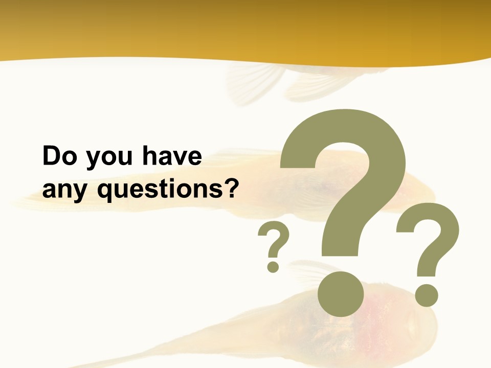 Bushy Nose - Goldspot Ancistrus Albino In Front Of A White Background PowerPoint Template