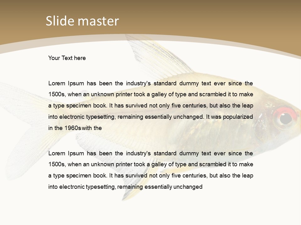 Hyphessobrycon Bentosi Fish In Front Of A White Background PowerPoint Template