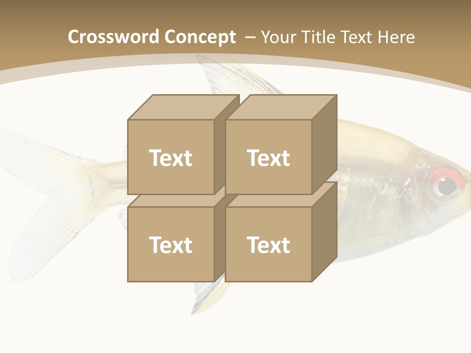 Hyphessobrycon Bentosi Fish In Front Of A White Background PowerPoint Template