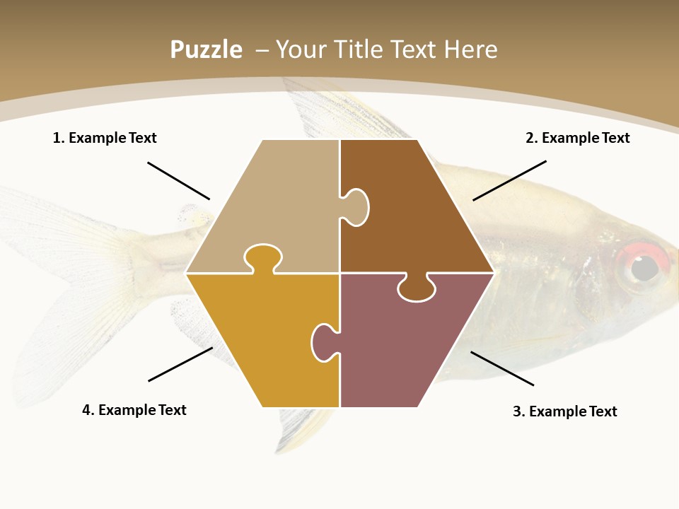 Hyphessobrycon Bentosi Fish In Front Of A White Background PowerPoint Template