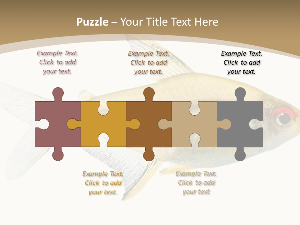 Hyphessobrycon Bentosi Fish In Front Of A White Background PowerPoint Template