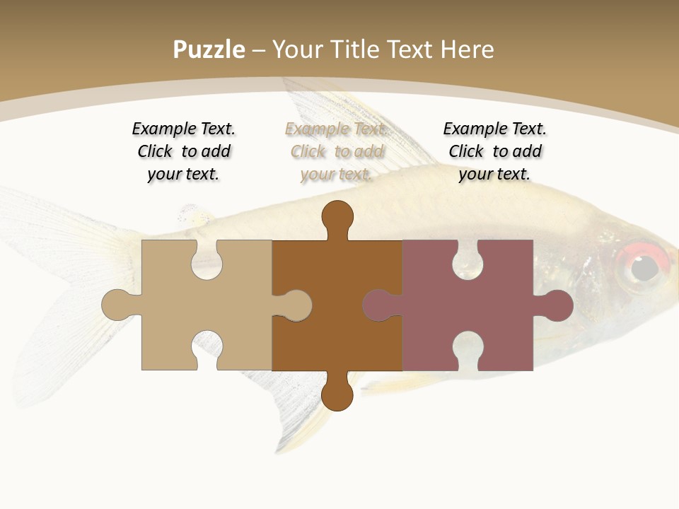 Hyphessobrycon Bentosi Fish In Front Of A White Background PowerPoint Template