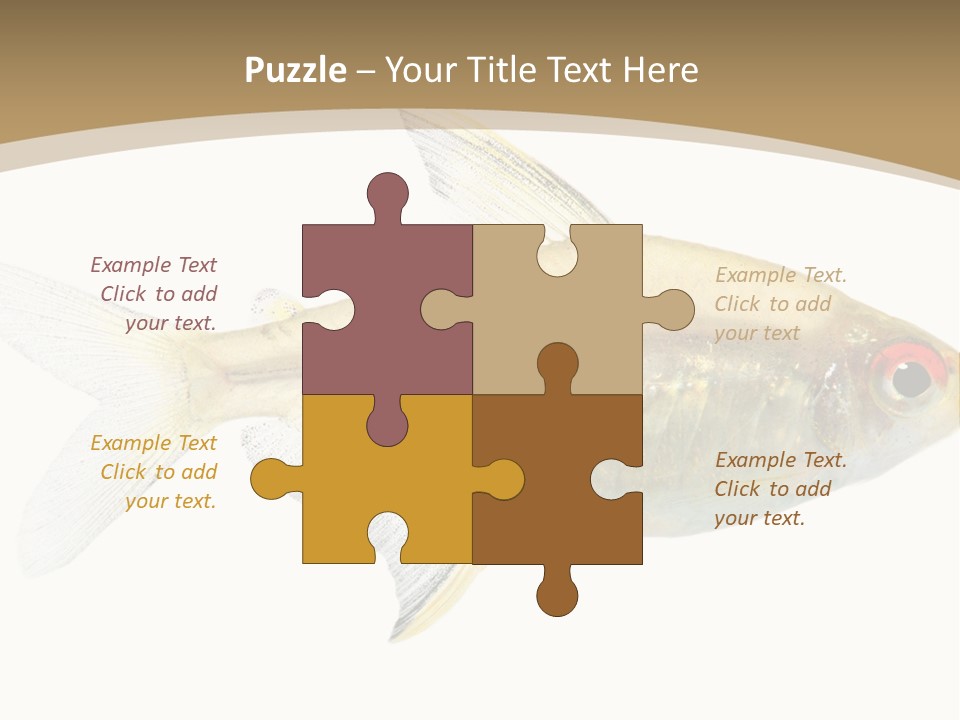 Hyphessobrycon Bentosi Fish In Front Of A White Background PowerPoint Template