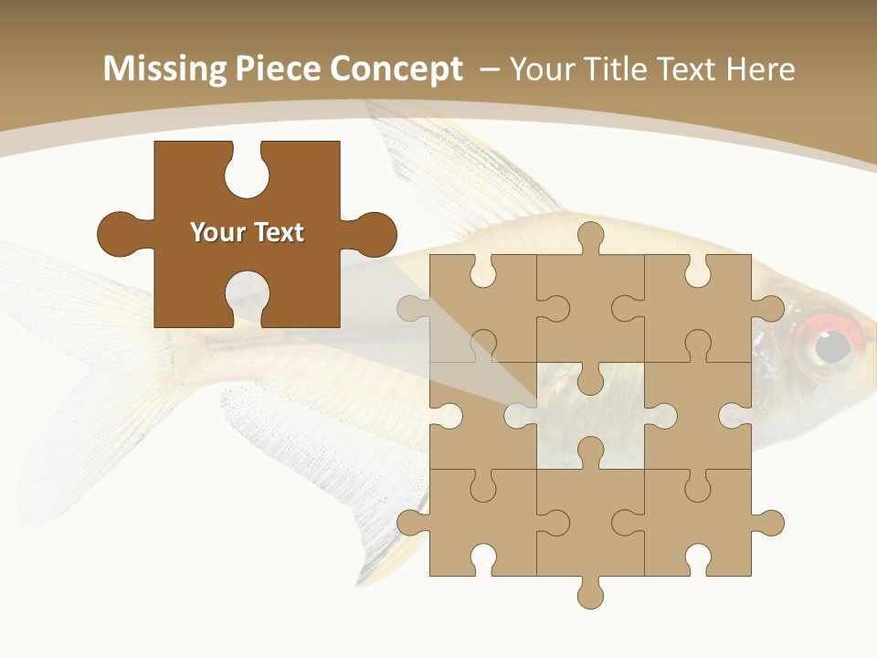 Hyphessobrycon Bentosi Fish In Front Of A White Background PowerPoint Template