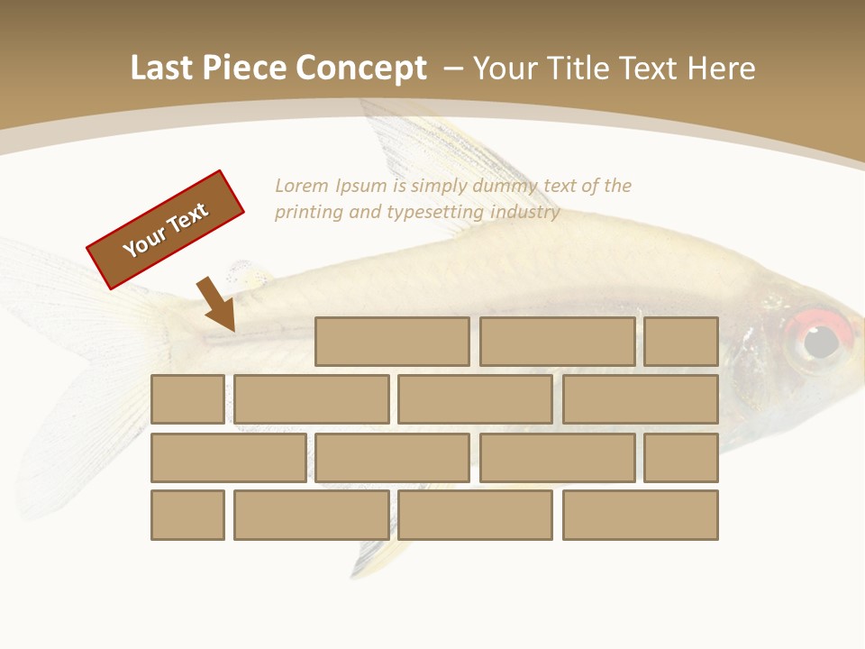 Hyphessobrycon Bentosi Fish In Front Of A White Background PowerPoint Template