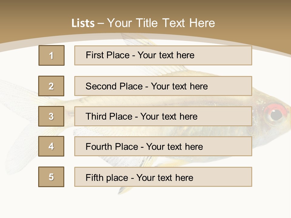 Hyphessobrycon Bentosi Fish In Front Of A White Background PowerPoint Template