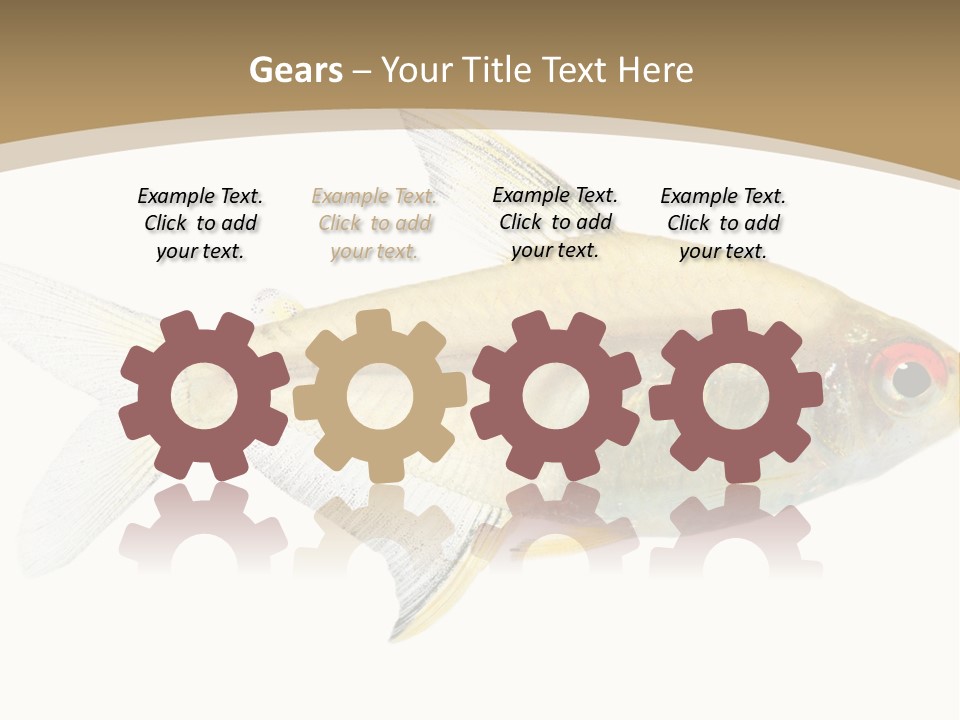 Hyphessobrycon Bentosi Fish In Front Of A White Background PowerPoint Template