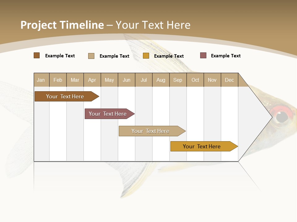 Hyphessobrycon Bentosi Fish In Front Of A White Background PowerPoint Template