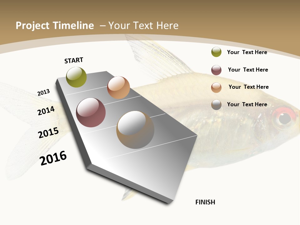 Hyphessobrycon Bentosi Fish In Front Of A White Background PowerPoint Template