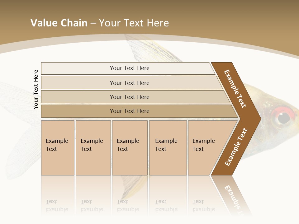 Hyphessobrycon Bentosi Fish In Front Of A White Background PowerPoint Template