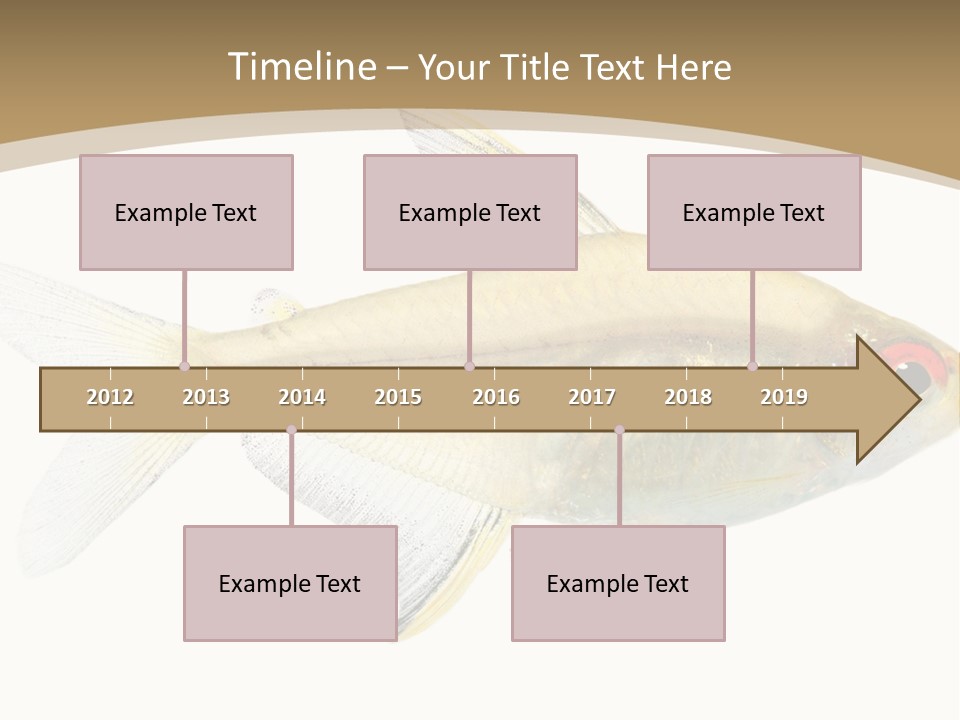 Hyphessobrycon Bentosi Fish In Front Of A White Background PowerPoint Template