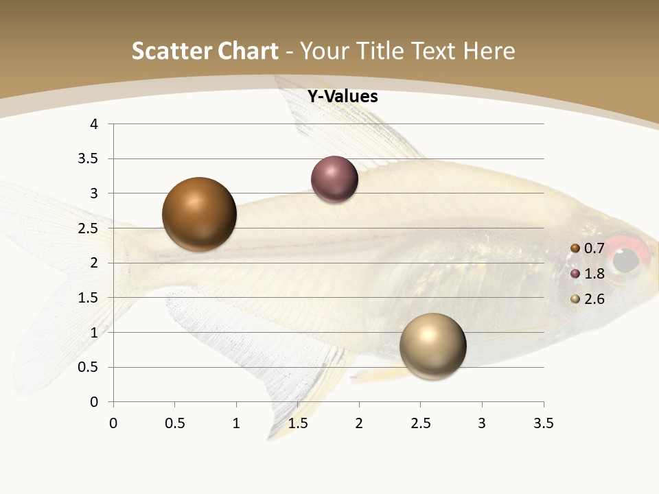 Hyphessobrycon Bentosi Fish In Front Of A White Background PowerPoint Template