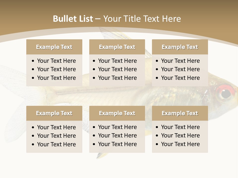 Hyphessobrycon Bentosi Fish In Front Of A White Background PowerPoint Template