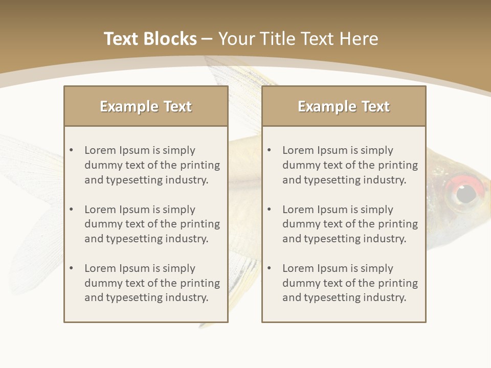 Hyphessobrycon Bentosi Fish In Front Of A White Background PowerPoint Template