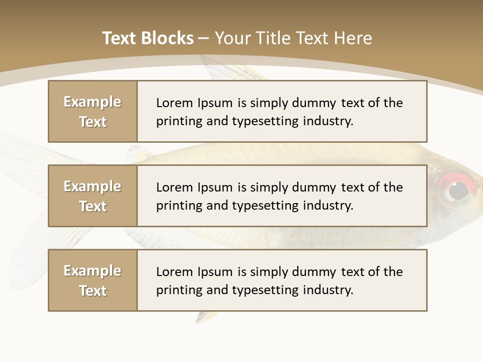 Hyphessobrycon Bentosi Fish In Front Of A White Background PowerPoint Template