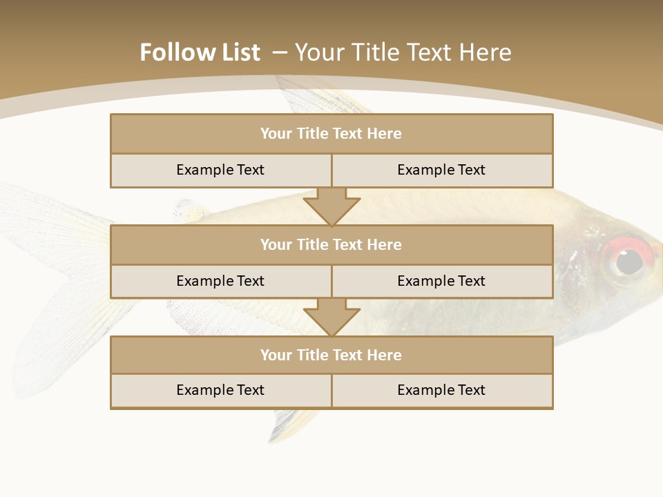 Hyphessobrycon Bentosi Fish In Front Of A White Background PowerPoint Template