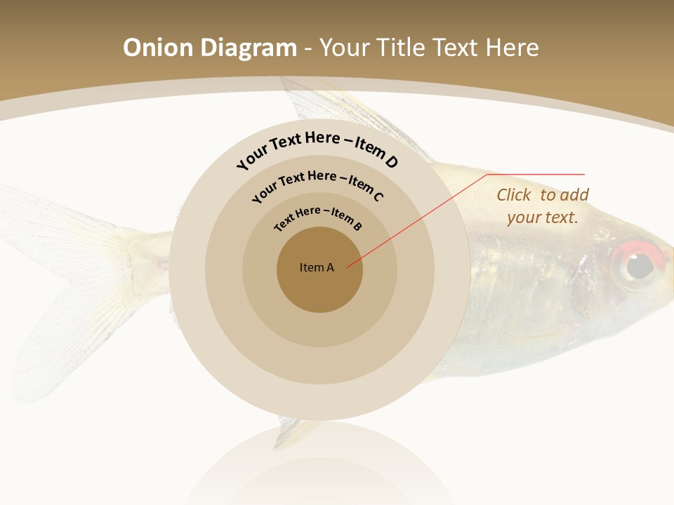 Hyphessobrycon Bentosi Fish In Front Of A White Background PowerPoint Template