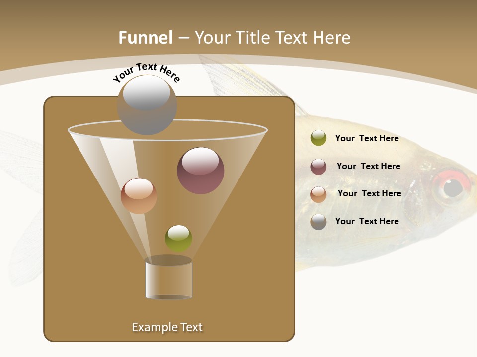 Hyphessobrycon Bentosi Fish In Front Of A White Background PowerPoint Template