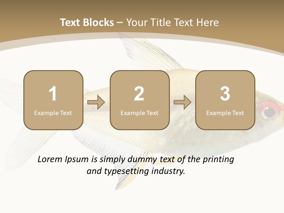 Hyphessobrycon Bentosi Fish In Front Of A White Background PowerPoint Template