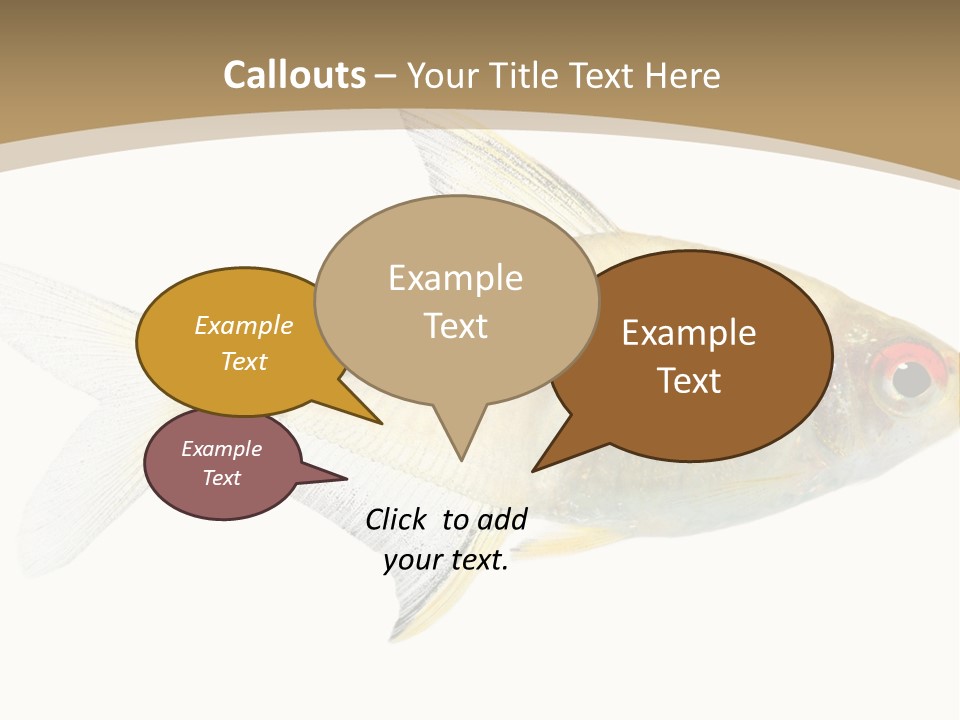 Hyphessobrycon Bentosi Fish In Front Of A White Background PowerPoint Template