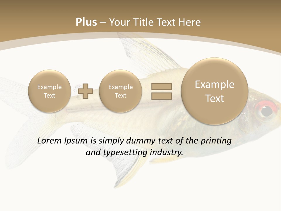 Hyphessobrycon Bentosi Fish In Front Of A White Background PowerPoint Template