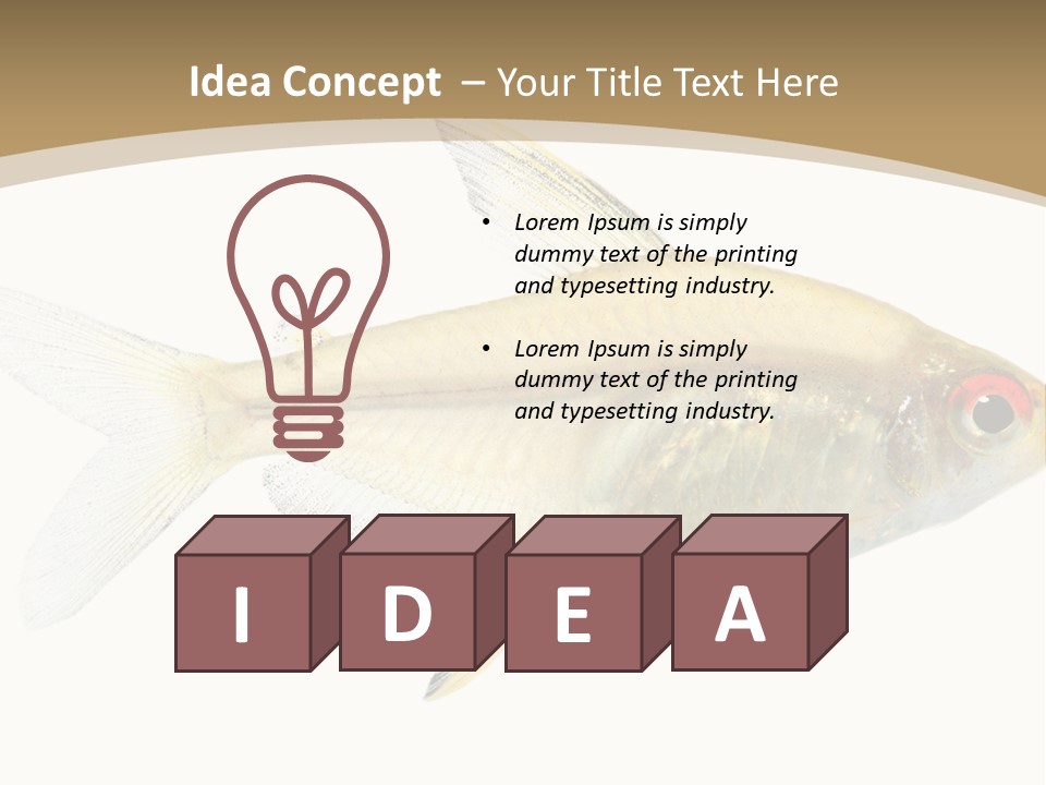 Hyphessobrycon Bentosi Fish In Front Of A White Background PowerPoint Template